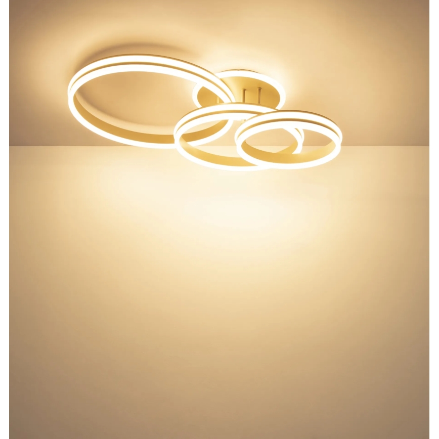 Globo - Ρυθμιζόμενο φωτιστικό οροφής LED/72W/230V 3000K 79,5x50 cm