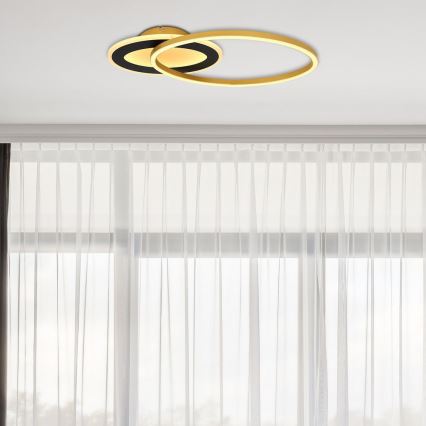 Globo - LED Οροφία Φωτιστικό LED/24W/230V