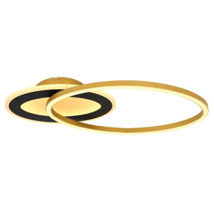 Globo - LED Οροφία Φωτιστικό LED/24W/230V