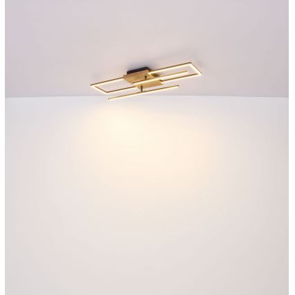 Globo - Φωτιστικό οροφής LED LED/18W/230V