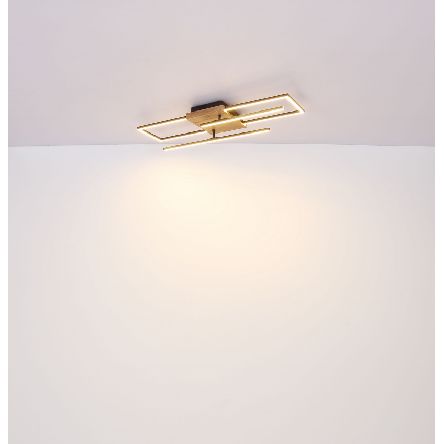 Globo - Φωτιστικό οροφής LED LED/18W/230V