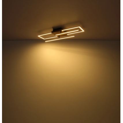 Globo - LED φωτιστικό οροφής LED/24W/230V 3000K 20x80 cm