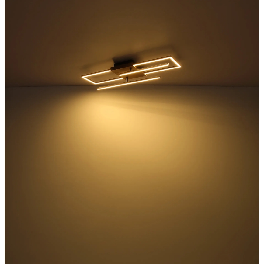 Globo - LED φωτιστικό οροφής LED/24W/230V 3000K 20x80 cm