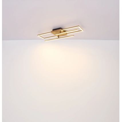Globo - LED φωτιστικό οροφής LED/24W/230V 3000K 20x80 cm