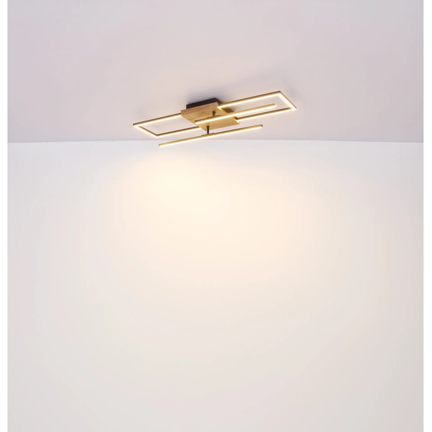Globo - LED φωτιστικό οροφής LED/24W/230V 3000K 20x80 cm