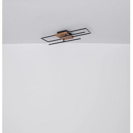 Globo - LED φωτιστικό οροφής LED/24W/230V 3000K 20x80 cm