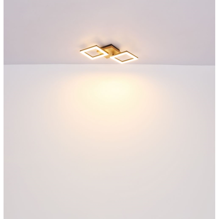 Globo - LED Πλαφονιέρα οροφής LED/18W/230V