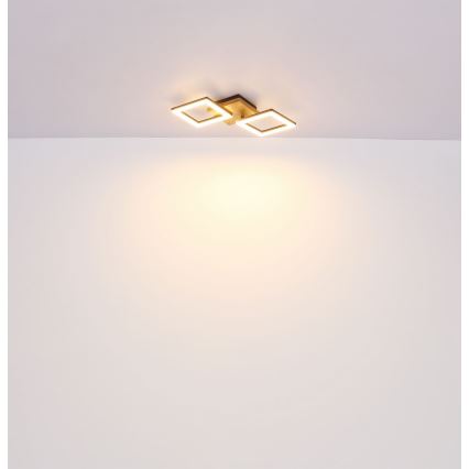 Globo - LED Πλαφονιέρα οροφής LED/18W/230V