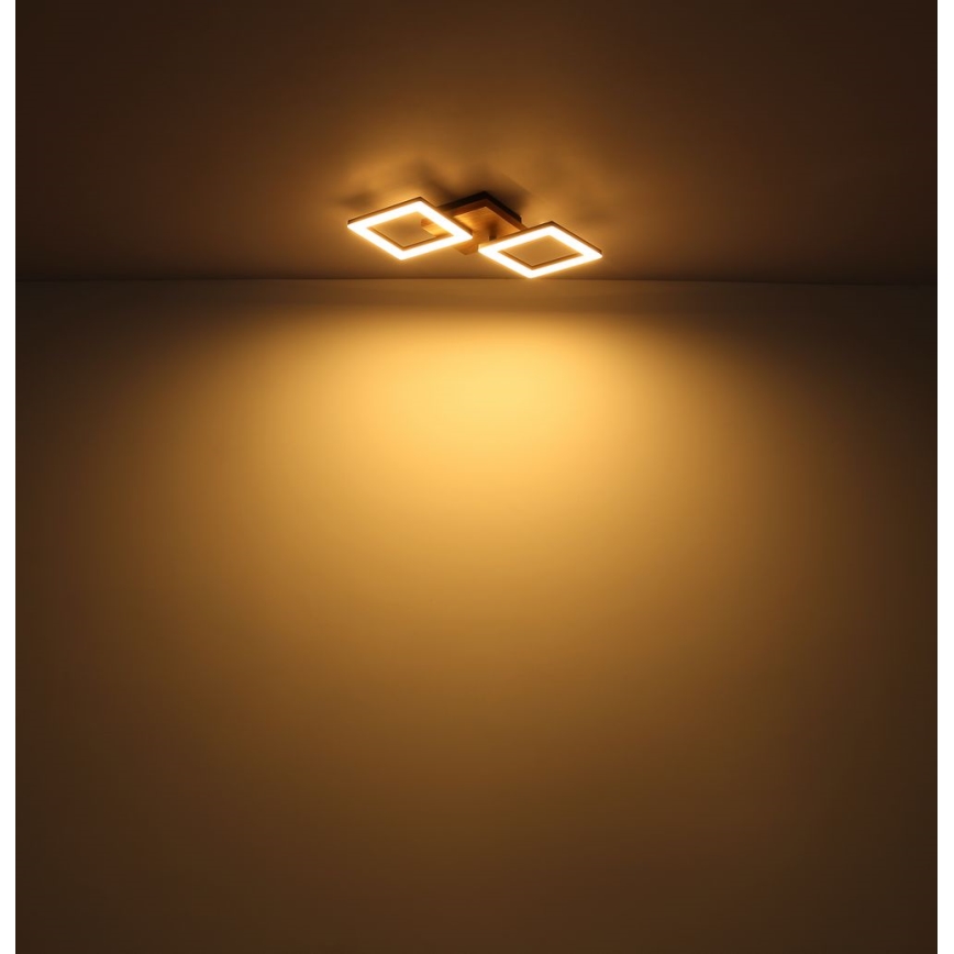 Globo  - LED Πλαφονιέρα οροφής LED/30W/230V