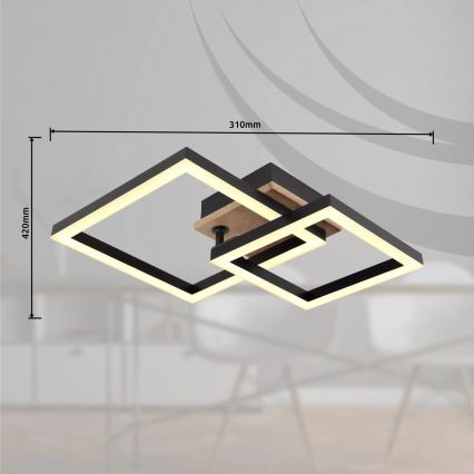 Globo - Φωτιστικό οροφής LED LED/15W/230V 3000K