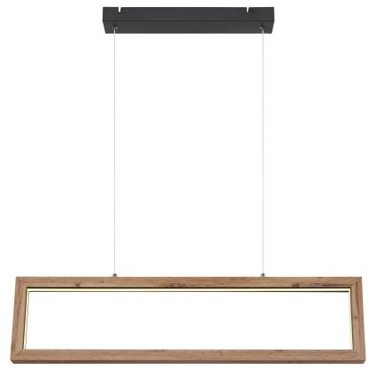 Globo 67287H - Κρεμαστό φωτιστικό με καλώδιο MANDERA LED/24W/230V καφέ