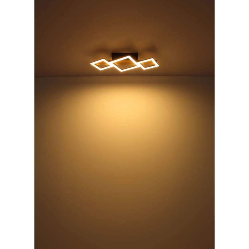 Globo - Φωτιστικό οροφής LED LED/29W/230V