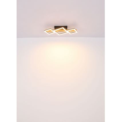 Globo - Φωτιστικό οροφής LED LED/29W/230V