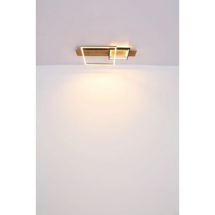 Globo 67289D1 - LED φωτιστικό οροφής VANNI LED/24W/230V 40x75 cm καφέ/μαύρο