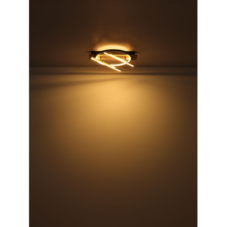 Globo - Φωτιστικό οροφής LED LED/32W/230V
