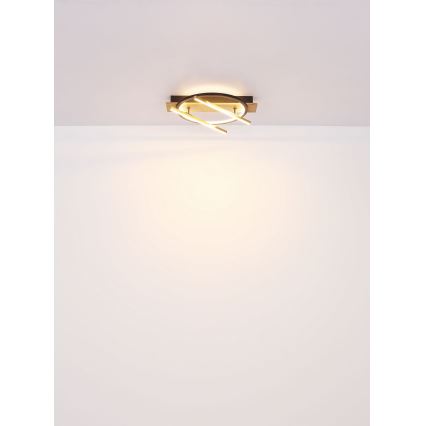 Globo - Φωτιστικό οροφής LED LED/32W/230V