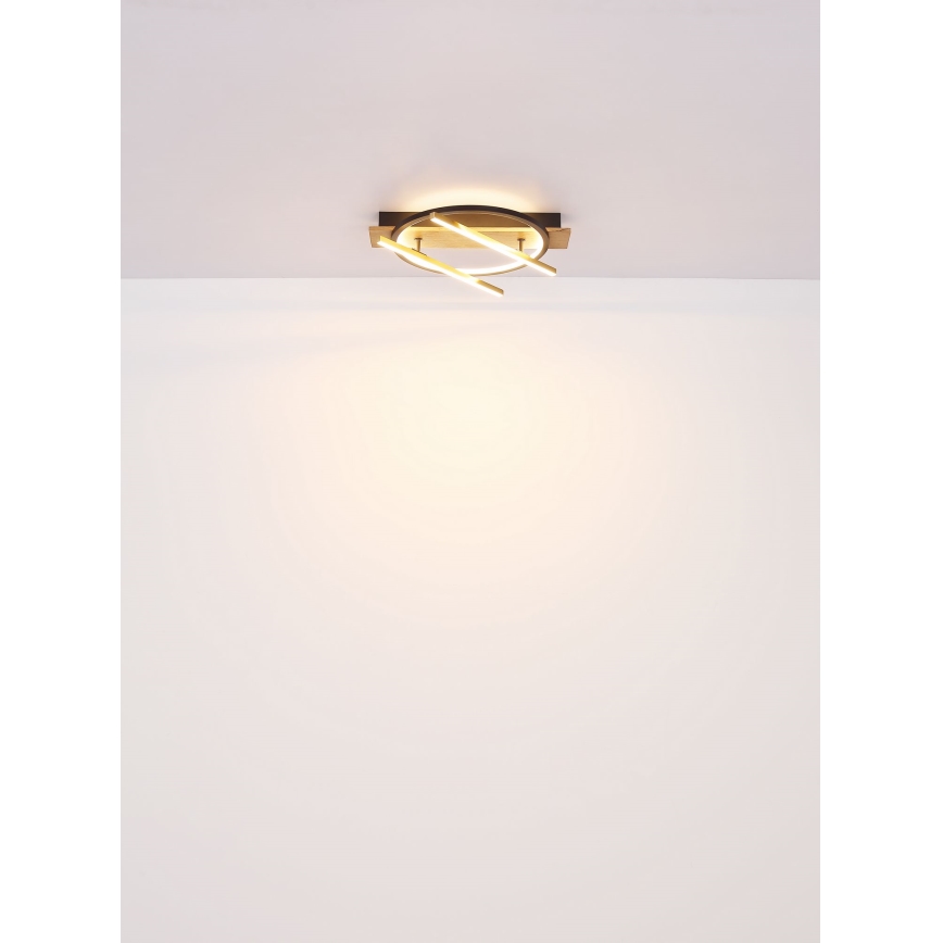 Globo - Φωτιστικό οροφής LED LED/32W/230V