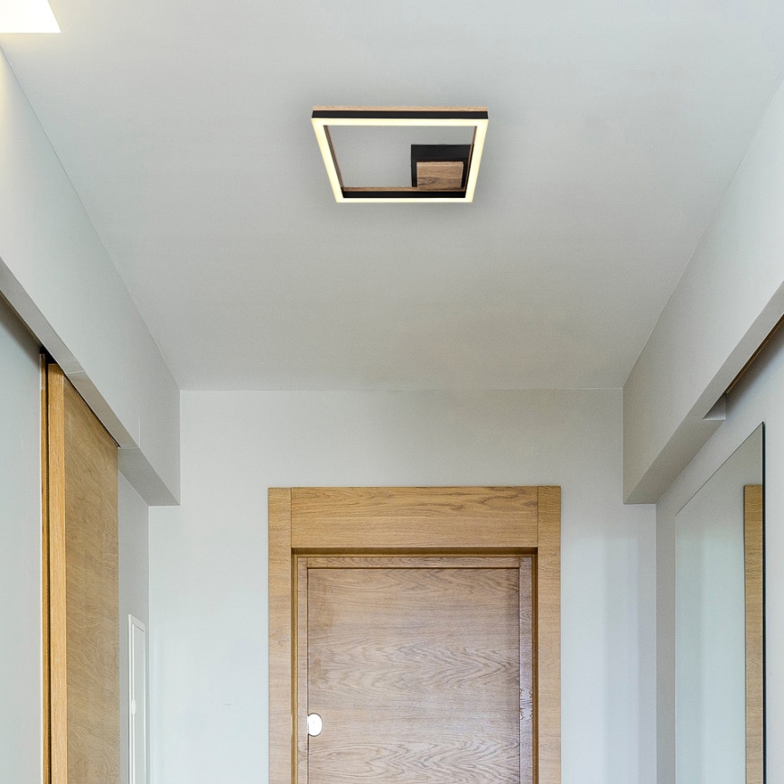 Globo - Φωτιστικό οροφής LED LED/12W/230V