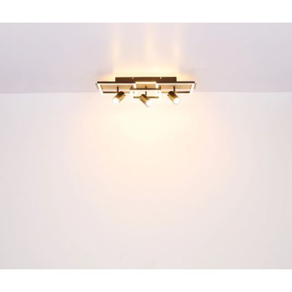 Globo - Φωτιστικό οροφής LED/48W/230V + 3xGU10/5W 3000K 27x72 cm