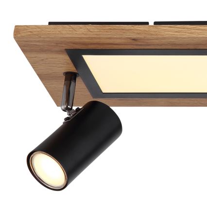 Globo - LED Σποτ LED/24W/230V + 3xGU10/5W