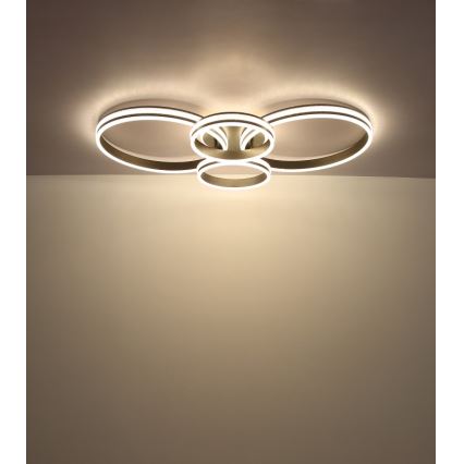Globo - LED Οροφιαίο φωτιστικό LED/39W/230V 2700/4500/6500K 106x60 εκ. ανθρακί
