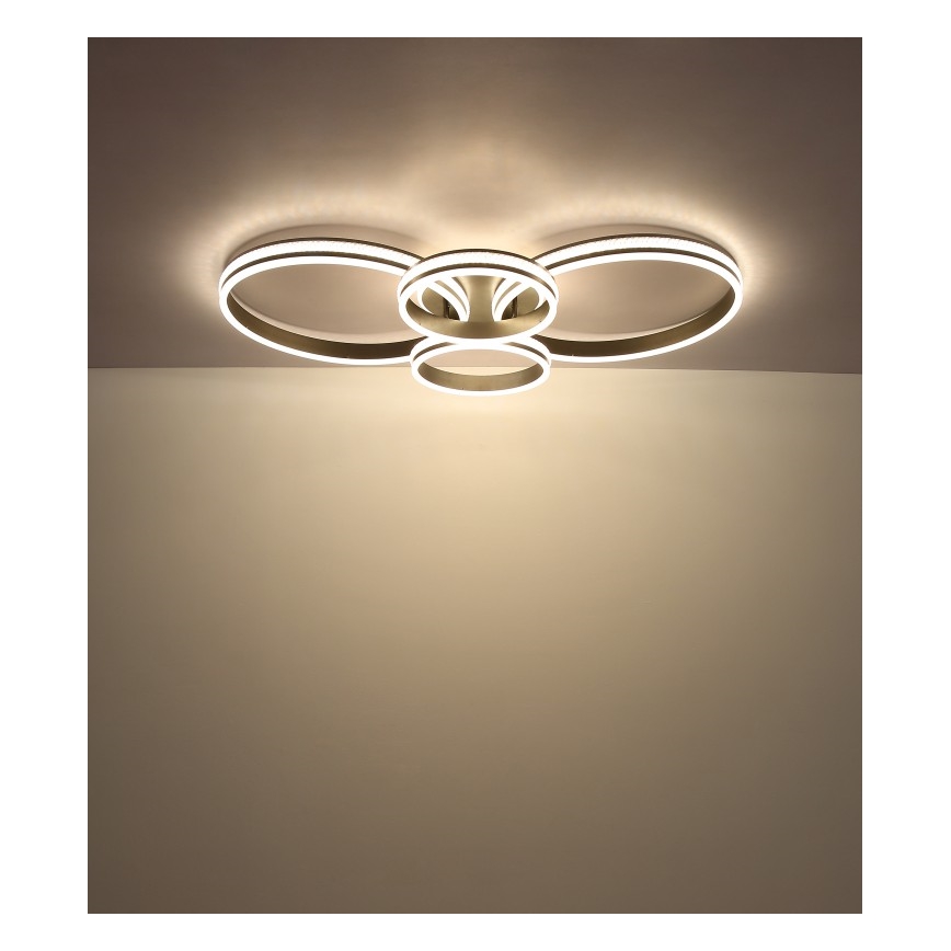 Globo - LED Οροφιαίο φωτιστικό LED/39W/230V 2700/4500/6500K 106x60 εκ. ανθρακί