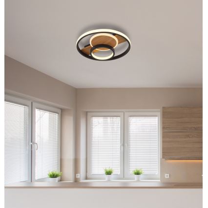 Globo - Φωτιστικό οροφής LED LED/24W/230V