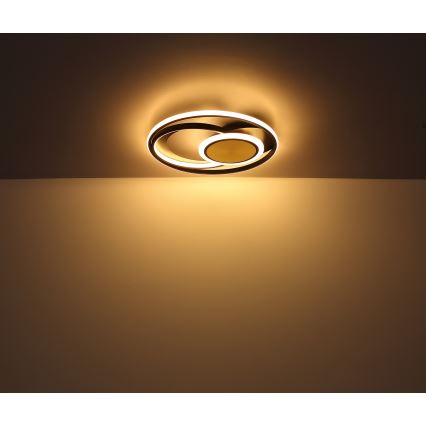 Globo - Φωτιστικό οροφής LED LED/24W/230V