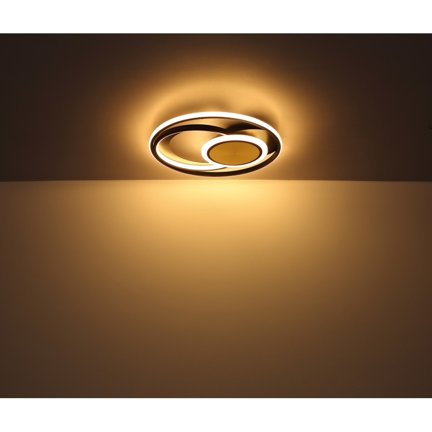 Globo - Φωτιστικό οροφής LED LED/24W/230V