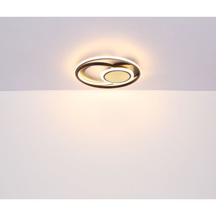 Globo - Φωτιστικό οροφής LED LED/24W/230V