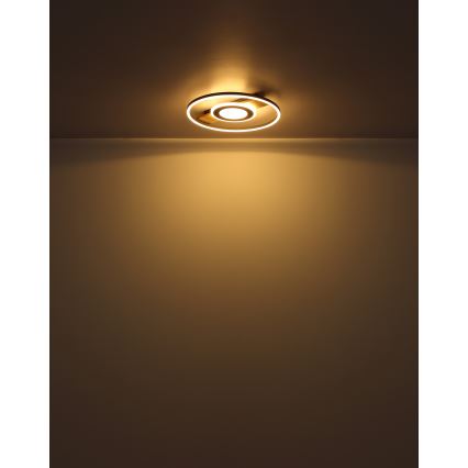 Globo - Φωτιστικό οροφής LED LED/24W/230V