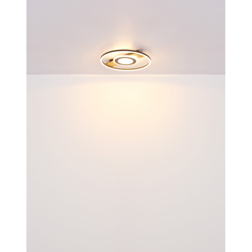 Globo - Φωτιστικό οροφής LED LED/24W/230V