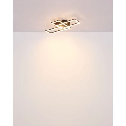 Globo - Φωτιστικό οροφής LED LED/24W/230V
