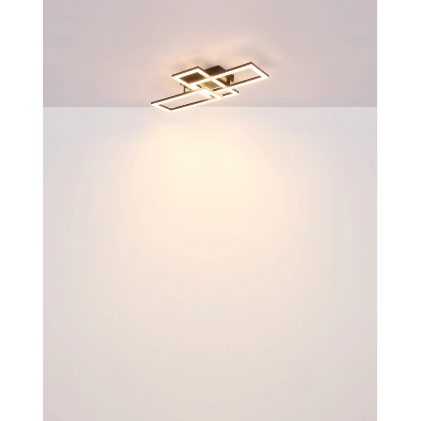 Globo - Φωτιστικό οροφής LED LED/24W/230V