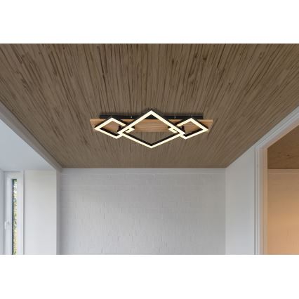 Globo - Φωτιστικό οροφής LED LED/24W/230V