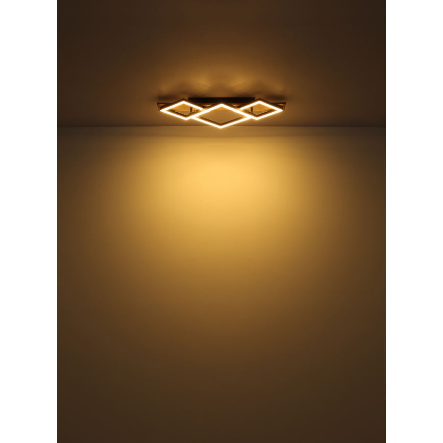 Globo - Φωτιστικό οροφής LED LED/24W/230V