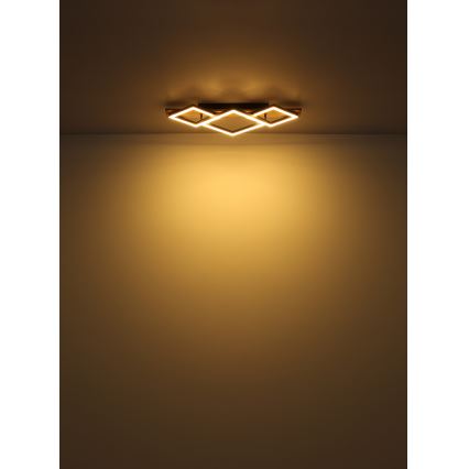 Globo - Φωτιστικό οροφής LED LED/24W/230V
