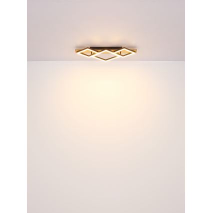 Globo - Φωτιστικό οροφής LED LED/24W/230V