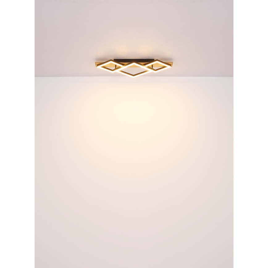 Globo - Φωτιστικό οροφής LED LED/24W/230V