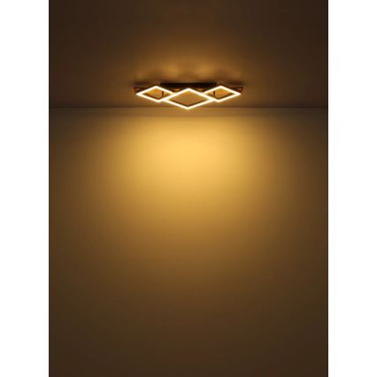 Globo - Φωτιστικό οροφής LED LED/24W/230V