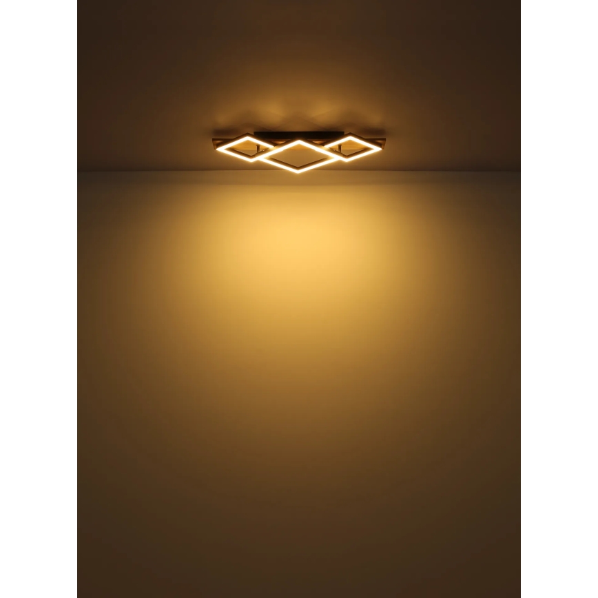 Globo - Φωτιστικό οροφής LED LED/24W/230V