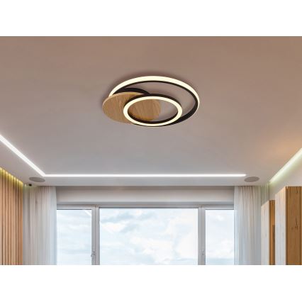 Globo - Φωτιστικό οροφής LED LED/24W/230V μαύρο