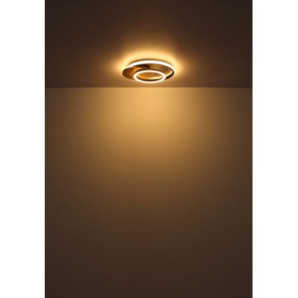 Globo - Φωτιστικό οροφής LED LED/24W/230V μαύρο