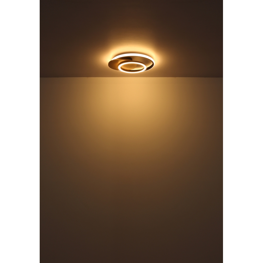Globo - Φωτιστικό οροφής LED LED/24W/230V μαύρο