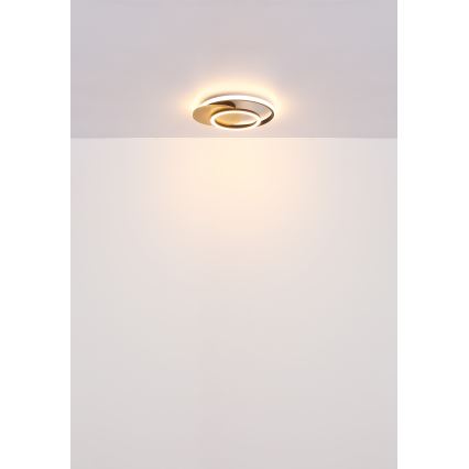 Globo - Φωτιστικό οροφής LED LED/24W/230V μαύρο