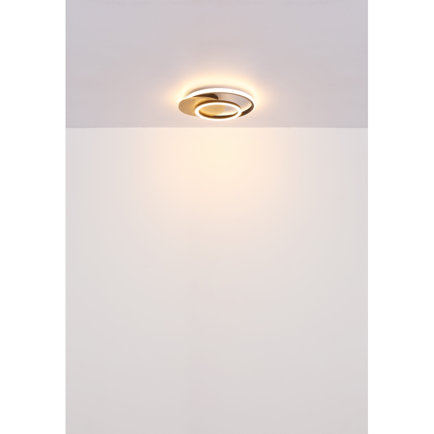 Globo - Φωτιστικό οροφής LED LED/24W/230V μαύρο