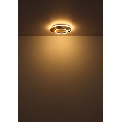 Globo - Φωτιστικό οροφής LED LED/24W/230V
