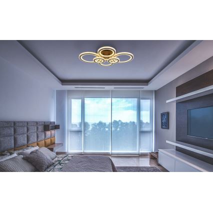 Globo - LED Ρυθμιζόμενο Φωτιστικό Οροφής LED/60W/230V 2700-6000K 56x78 εκ. ανθρακί + τηλεχειριστήριο
