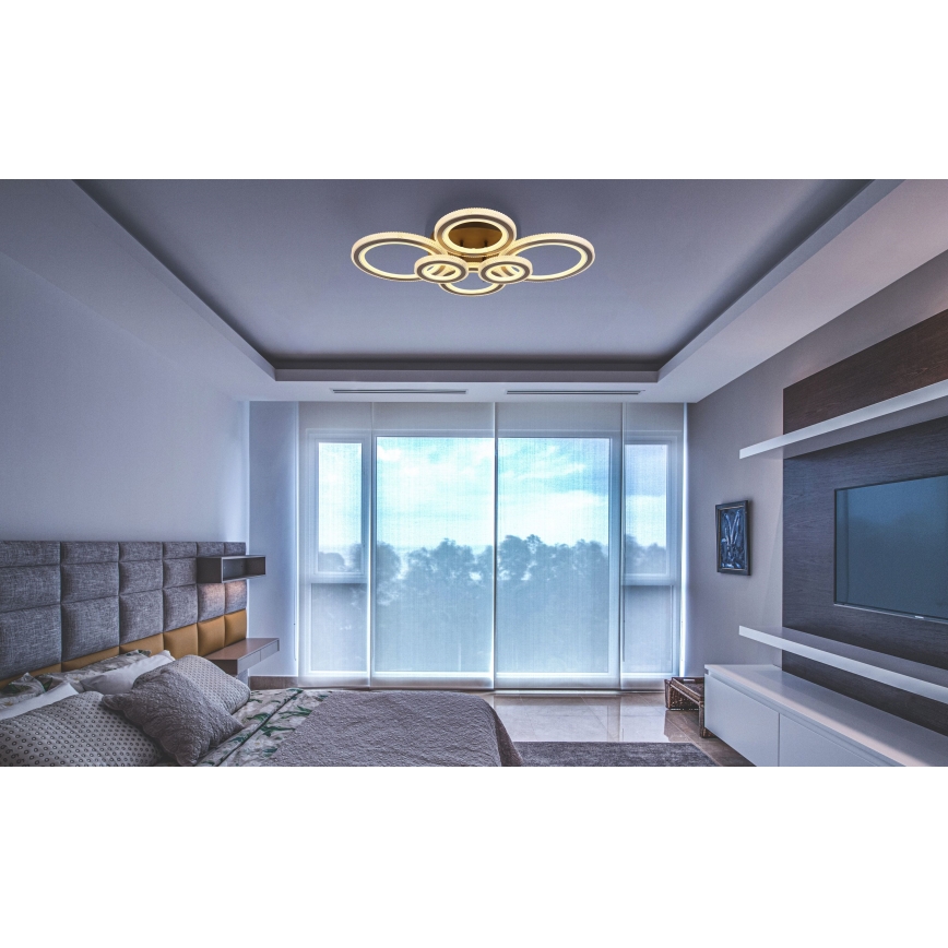 Globo - LED Ρυθμιζόμενο Φωτιστικό Οροφής LED/60W/230V 2700-6000K 56x78 εκ. ανθρακί + τηλεχειριστήριο