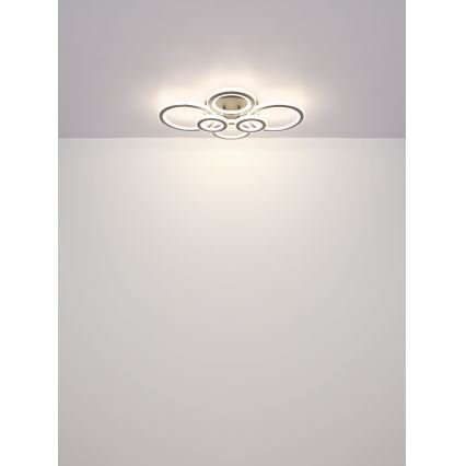 Globo - LED Ρυθμιζόμενο Φωτιστικό Οροφής LED/60W/230V 2700-6000K 56x78 εκ. ανθρακί + τηλεχειριστήριο
